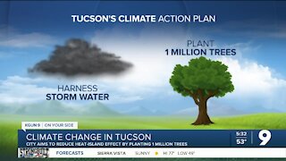 Initiatives help Tucson cope with climate change