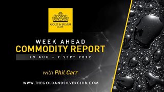 WEEK AHEAD COMMODITY REPORT: Gold, Silver & Crude Oil Price Forecast: 29 August - 2 September 2022