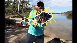 They Said You Can't Catch These on SHRIMP! But this Video Proves them WRONG! NEW SPECIES CAUGHT!