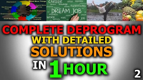 Complete Deprogram In 1 Hour - Solution Compilation From Eric Dubay