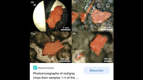 Follow the Science: These Red/Grey Chips