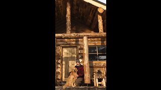 From Forest to Shelter: Captivating Time-lapse of a Solo Cabin Build in the Wilderness