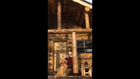 From Forest to Shelter: Captivating Time-lapse of a Solo Cabin Build in the Wilderness