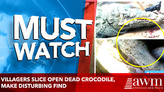 Villagers Slice open dead crocodile, make disturbing find