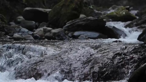 Beautiful Mountain Stream - Relaxing Sounds of Water and Nature (1 Hour)