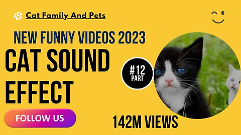 Cat Sound Effect Part 12