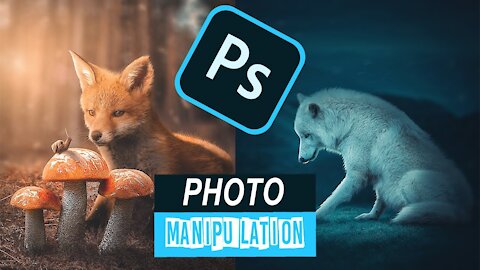 FOX AND WOLF, SURREAL ART, PHOTOSHOP, PHOTO MANIPULATION