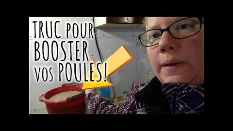 BOOSTER vos POULES : Fermentation et germination #200