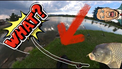 I LOST MY ROD! 😱 ( FISHING FAIL) Fishing for CARP in COLORADO First time FISHING (almost)