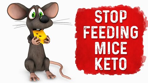 Stop Feeding Your Pet Mice Keto (Ketogenic Diet) – Dr. Berg
