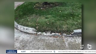 Fact or Fiction: Curb busted in 1993 finally fixed?