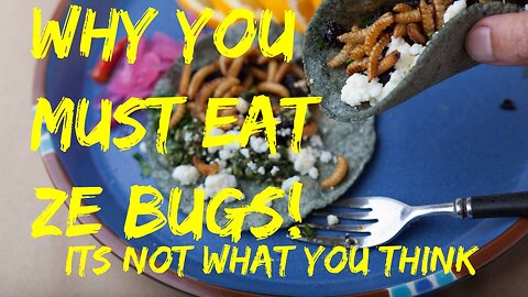Depopulation Survival Guide: Why You And Your Digital Twin Will Love To Eat Ze Bugs #7