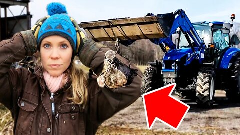 Cabin Prep (Breaking Ground for my Dream Office!) Dream Cabin Build Vlog (INTRO #1)