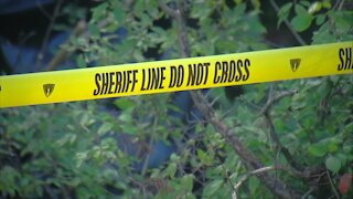 Two sets of human remains found in Chautauqua County