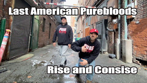 Last American Purebloods - Rise and Consise