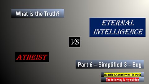Atheist vs Eternal Intelligence, Part 6, Simplified 3 - Bug