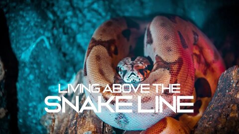 Reg Kelly - Living Above the Snake Line