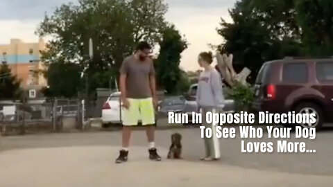 Run In Opposite Directions To See Who Your Dog Loves More...