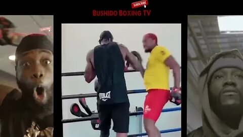 Deontay Wilder Boxing 2022