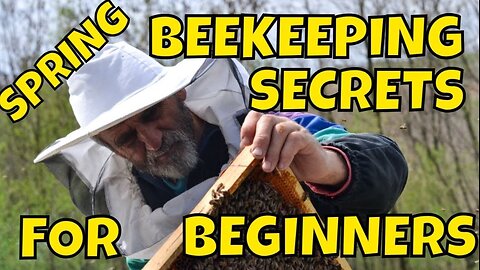 BEEKEEPING TIPS #beekeeping #beekeeper #diy #howto