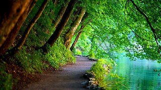 Relaxing Music With Beautiful Nature Sounds