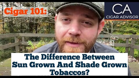 What’s the difference between Sun Grown and Shade Grown tobacco? - Cigar 101