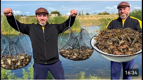 I'M Cooking Freshly Caught Crayfish from the Lake!