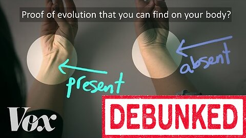 Debunking the World's Leading Evolution Video