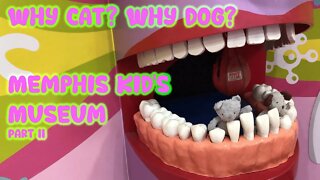 Cat and Dog Visit the Children’s Museum of Memphis in Tennessee PART 2