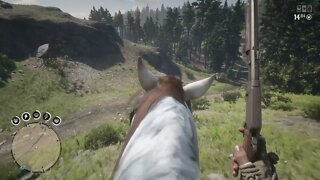 Red Dead Redemption 2 Part 32