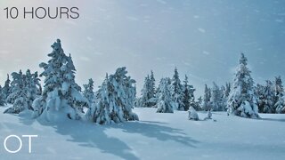 Arctic Ambience 5| Howling wind and blowing snow for Relaxing| Studying| Sleep| Heavy Winter Snow