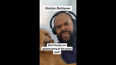 Okay fellow white people, it’s time to stop gatekeeping Golden Retrievers!