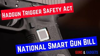 HR1008: Handgun Trigger Safety Act (Legislates Out Non-Smart Guns)