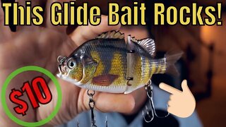 $10 Glide Bait and its WORTH IT! Fall Glide Biat Bass Fishing Ponds