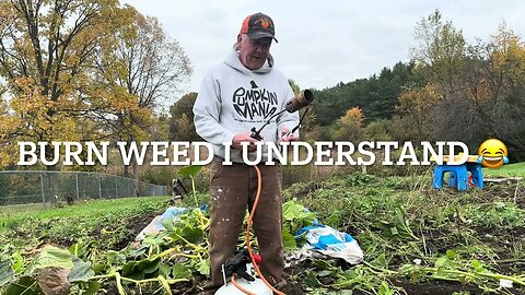 Fall Garden burning the weed 😂 🎃 🍉