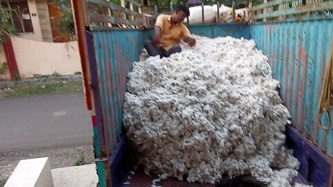 cotton video