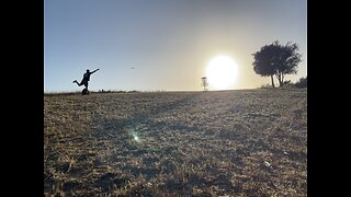 A beautiful disc golf life