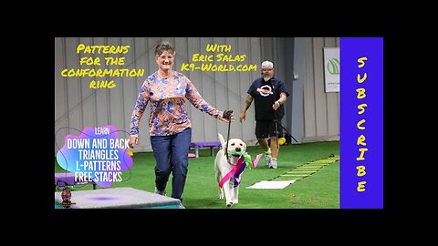 Gaiting patterns and free stacking for dog shows with Eric Salas