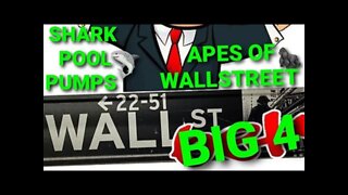 WALLSTREETBETS BIG 4 THE LEAGUE OF DISCORD'S