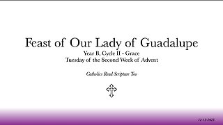 Feast of Our Lady of Guadalupe / Tuesday of the Second Week of Advent - 12/12/2023