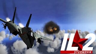 F-14 Tomcat Vs. MiG 28(F-5) | TOP GUN | IL-2 1946 |