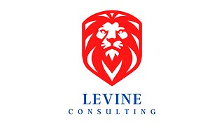 Introducing Levine Consulting