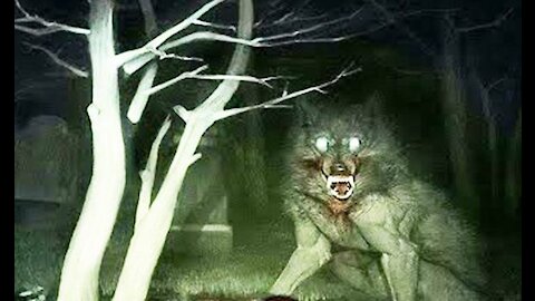 The Werewolf - True Story Paranormal TV