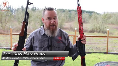 The Gun Ban Plan