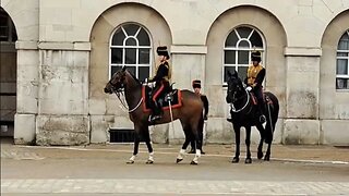 Horse won't go with the flow #horseguardsparade