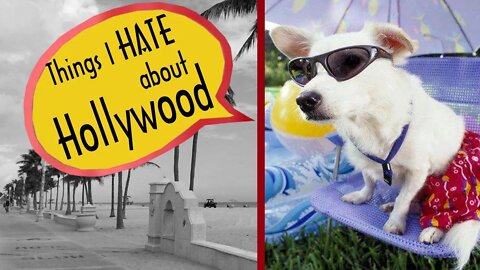Things I Hate About Hollywood FL | Moving to Hollywood- things you need to know