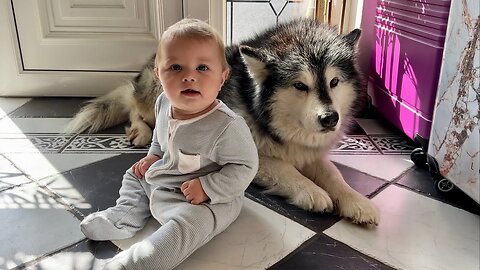 Dog Protects Baby From Cat! She Thinks She's His Mom!!