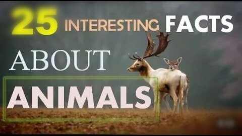 Top 25 Shocking facts about animals | You Must know