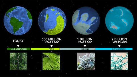 The Grand Story of Earth and Life