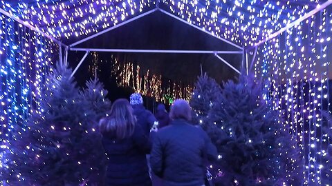 Holiday lights shine in Massachusetts' Naumkeag public garden